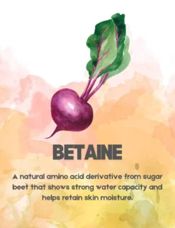 bona-fide-leave-in-conditioning-spray-betaine-image