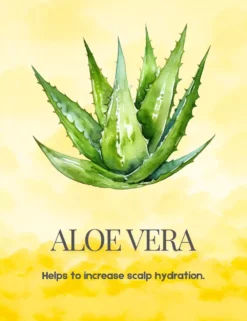 bona-fide-soothing-scalp-serum-aloe-vera-image