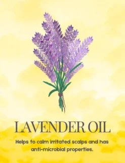 bona-fide-soothing-scalp-serum-lavender-image