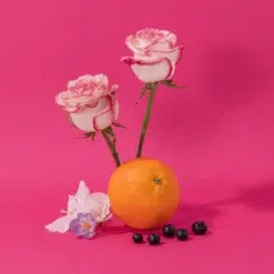 Compagnie De Provence Liquid Soap Wild Rose 300ml - Ingredients Image