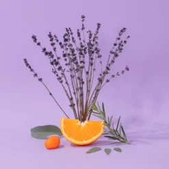 Compagnie De Provence Liquid Soap Aromatic Lavender 300ml - Ingredients